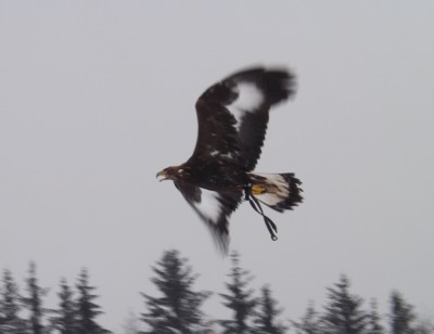 DSCF2855.JPG (147.51 KiB) Zobrazeno 5793 x DSCF2855.JPG