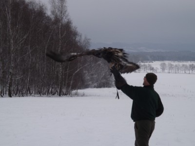 DSCF2866.JPG (196.41 KiB) Zobrazeno 6150 x DSCF2866.JPG