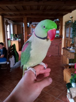 2012-12-16 12.24.02.jpg