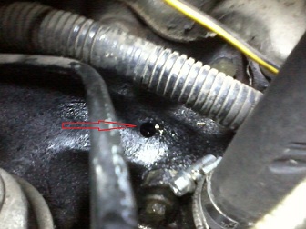 Diera ktoru som nasiel ako prvu