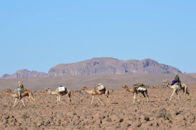 DSC_0230.jpg