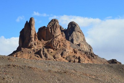 DSC_0294.jpg