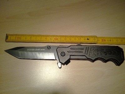 SOG Tanto F-555 a.jpg