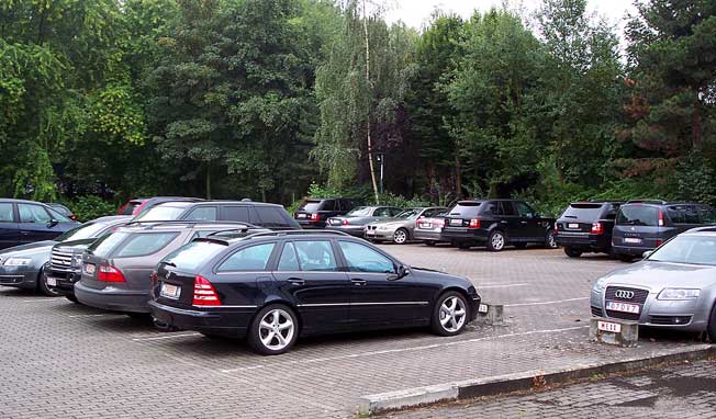 .. niekde tu asi maju hniezdo