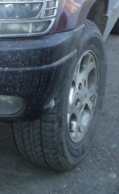 DSC01589 – kopie.JPG