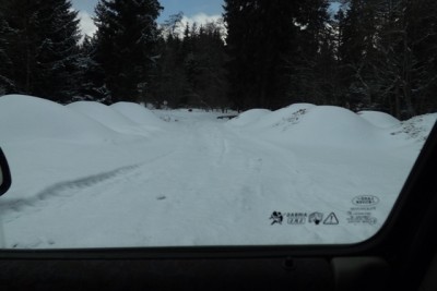 DSCF5088.JPG