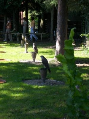 100_2092.jpg