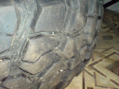 DSC02255 (Custom).jpg