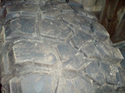 DSC02253 (Custom).jpg