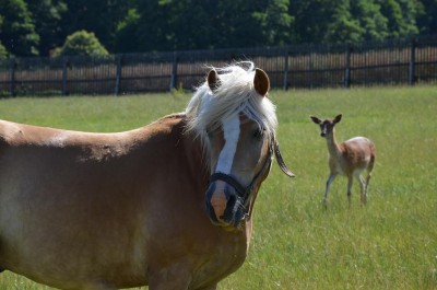 DSC_0038.JPG