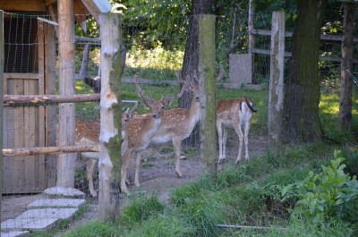 DSC_0055.JPG