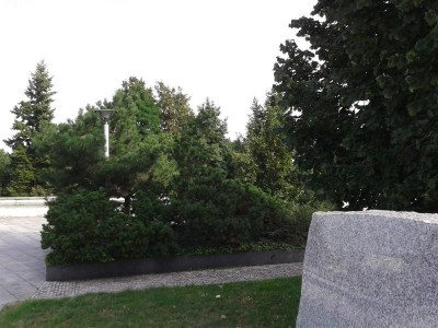 CT.jpg (104.79 KiB) Zobrazeno 2351 x CT.jpg