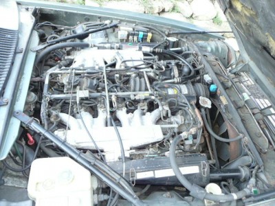 XJS Convertible 5.3 009.JPG
