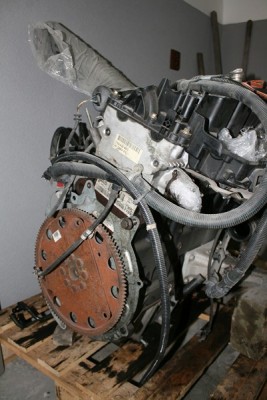 IMG_2030 [800x600].JPG