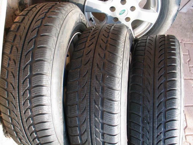 Resize of 382_8240.JPG