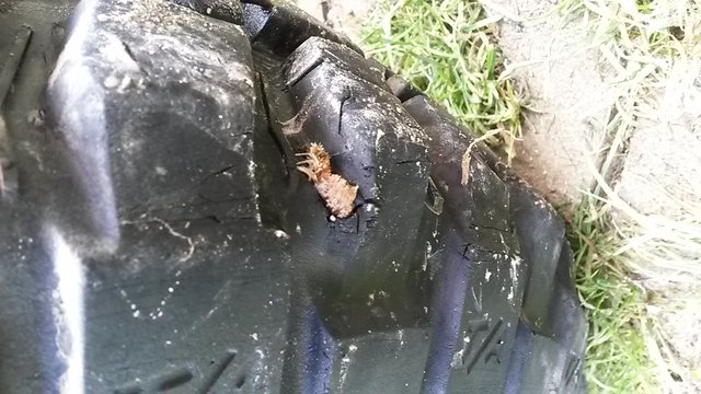 20140901_150246.jpg