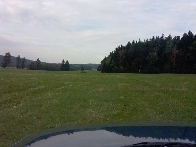 CAM00174.jpg