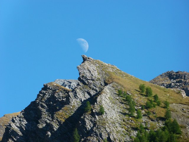 P1230183.jpg (579.35 KiB) Zobrazeno 11339 x P1230183.jpg