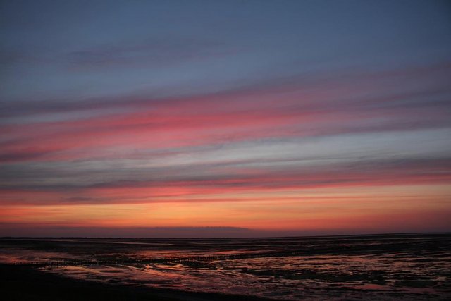 IMG_1366.JPG