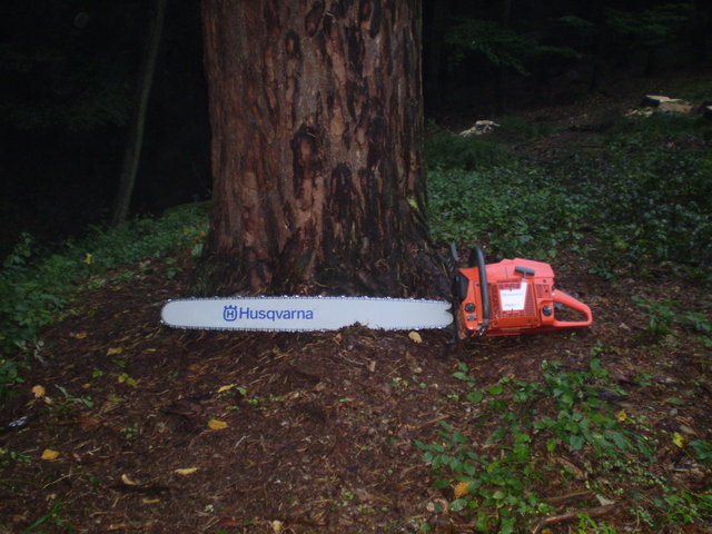 PA040002.JPG