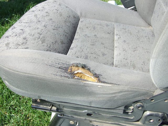 DSCF6636.jpg
