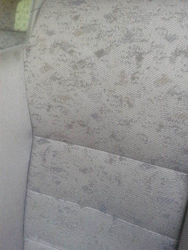 20150318_150734.jpg