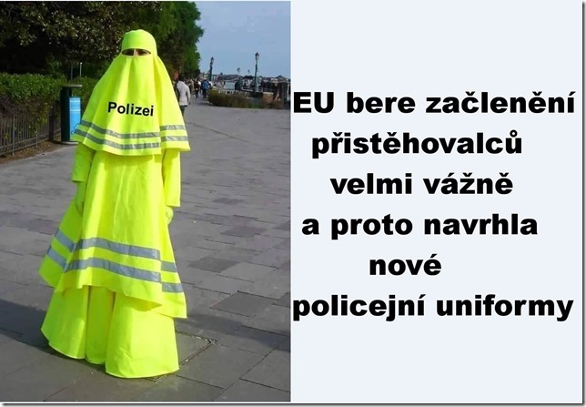 Policie[1].jpg