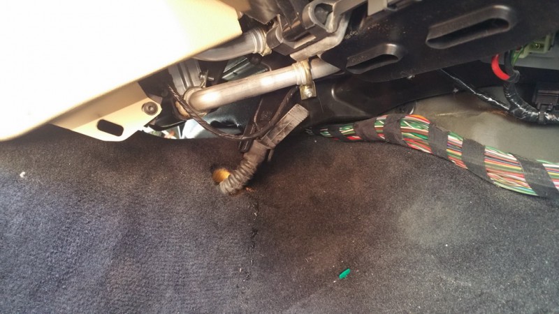 20150717_165401.jpg