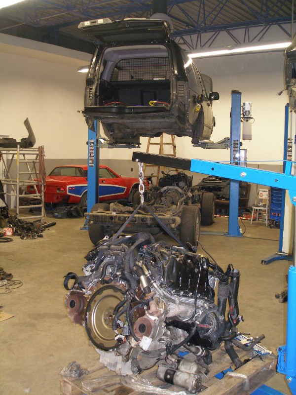 roz1.JPG (314.87 KiB) Zobrazeno 4677 x roz1.JPG