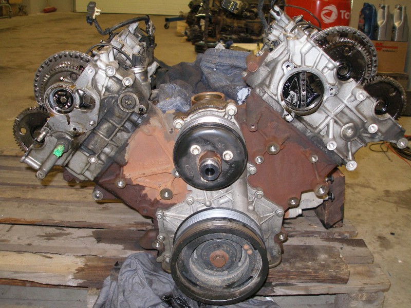 roz2.JPG (343.08 KiB) Zobrazeno 4677 x roz2.JPG