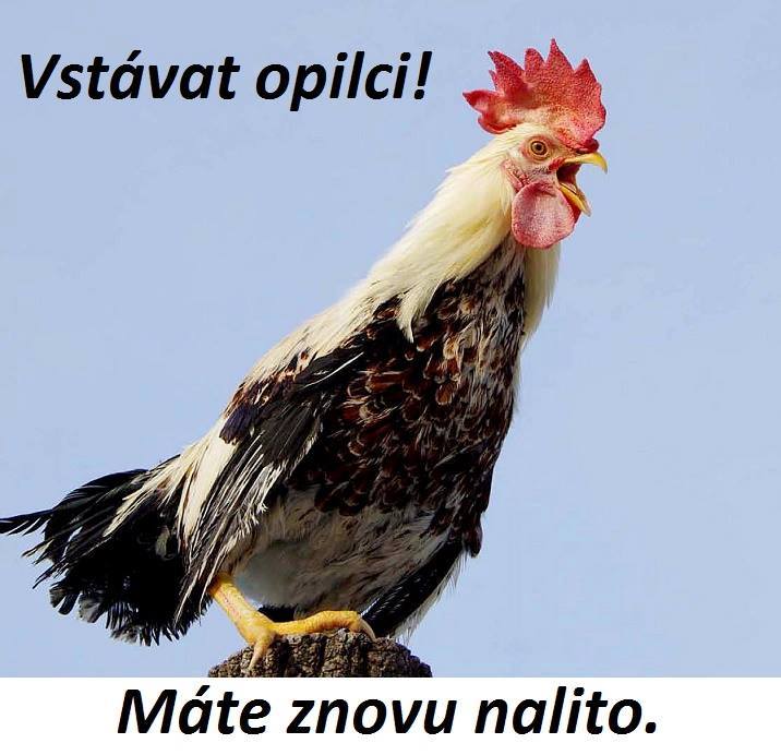PF_2016.jpg