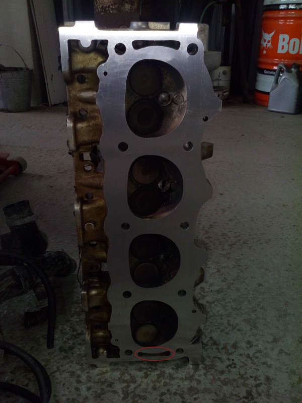 20160425_163258- 4.JPG