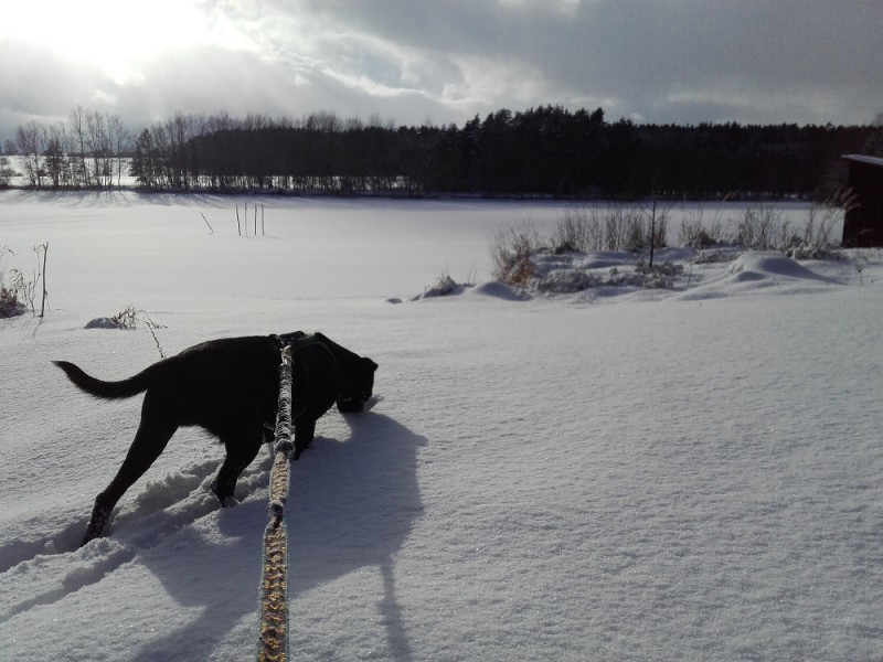 20170115_142121[1].jpg
