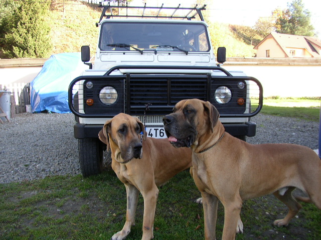 PA301417.JPG