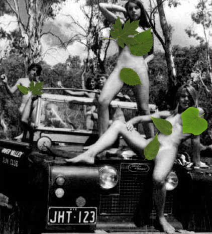 naked_rover.jpg
