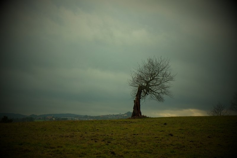 DSCF3266.JPG
