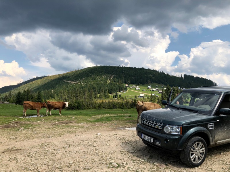 IMG_1782.jpg (2.05 MiB) Zobrazeno 8485 x IMG_1782.jpg