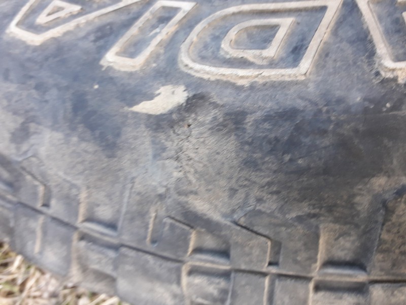 20190307_162307.jpg